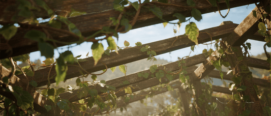 Choose the Right Garden Privacy Panel: Eco-friendly, Durable, Worry-free and Assuring - 海智集