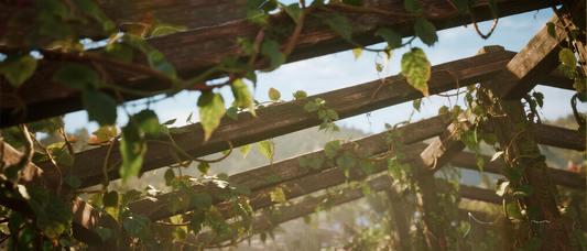 Choose the Right Garden Privacy Panel: Eco-friendly, Durable, Worry-free and Assuring