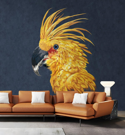 Yinghao Wallpaper: Presenting the natural beauty of a parrot in the free American style-海智集-