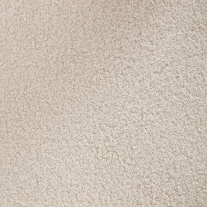 COOLMORE Contemporary Designed Velvet Fabric Upholstered Accent/Dining Chair Beige Teddy Armchair Set of 2-海智集-Default-