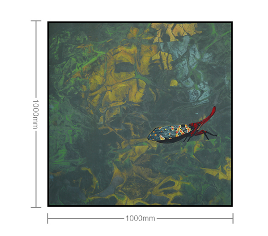 Decorative Art-Gorgeous and Fantasy-海智集-