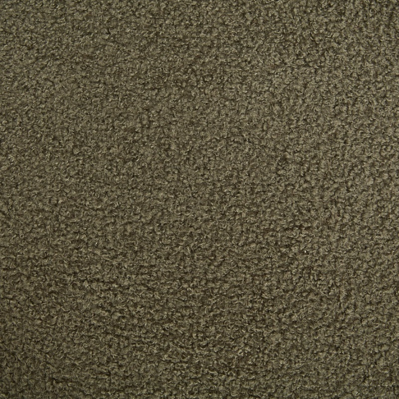 COOLMORE Contemporary Designed Velvet Upholstered Accent/Dining Chair in Olive Teddy Fabric with Armrests-海智集-Default-