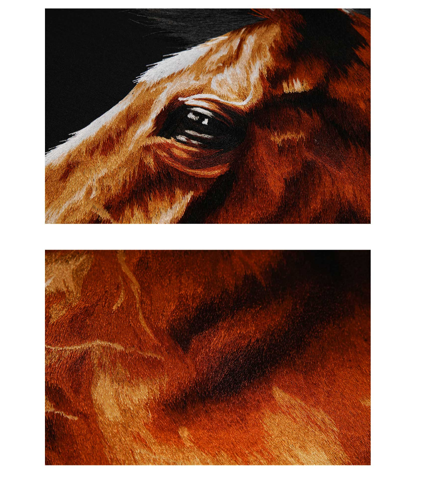 Decorative Art- precious steed-海智集-