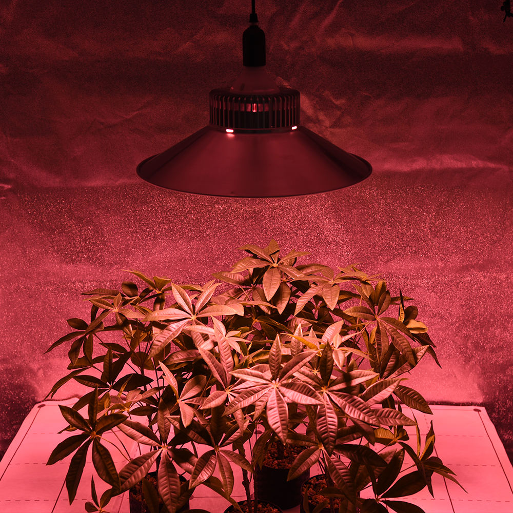 Superior Quality 100W Industrial LED High Bay Light CE Aluminum Alloy Explosion-proof Economical for Warehouses-海智集-