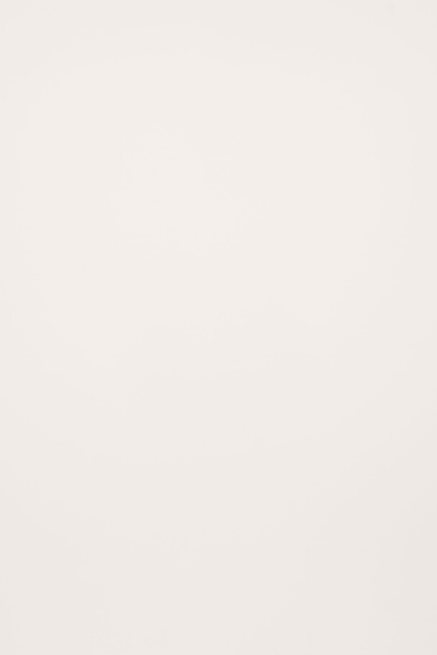 10-Year Warranty Wood Wall Panel | Long-Lasting Quality-海智集-
