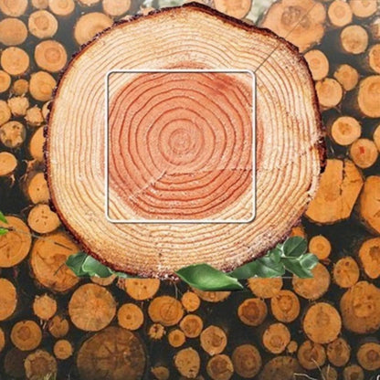 Osb E0 grade formaldehyde-free and environmentally friendly oriented structure particleboard base partition wall ceiling decoration board, pine OSB-海智集-