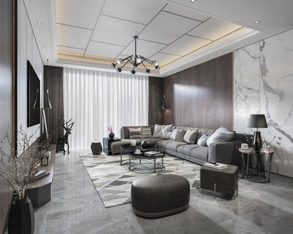 Ceiling Panels