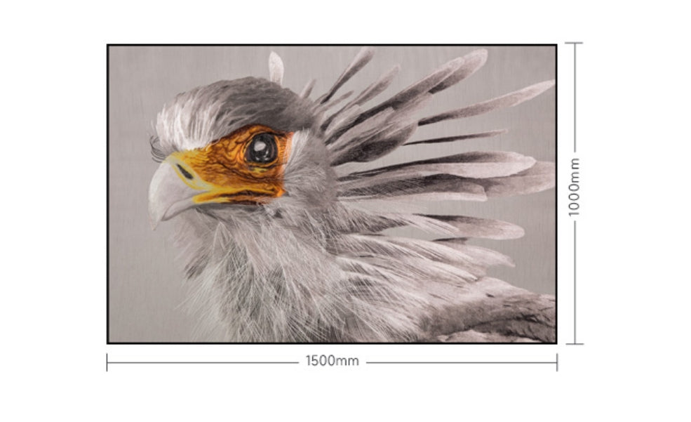 Decorative Art-"Soar to great heights"-海智集-
