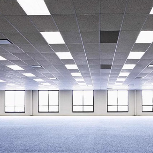 "Energy-Efficient Backlit LED Panel Light - Ultra Bright 295x1195x30mm | 24W/36W/40W - Ideal for Sustainable & Cost-Effective Lighting Solutions"-海智集-