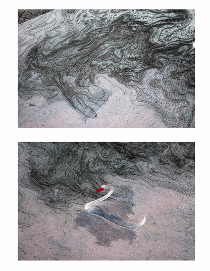 Decorative Art-Swan Lake Ⅳ-海智集-