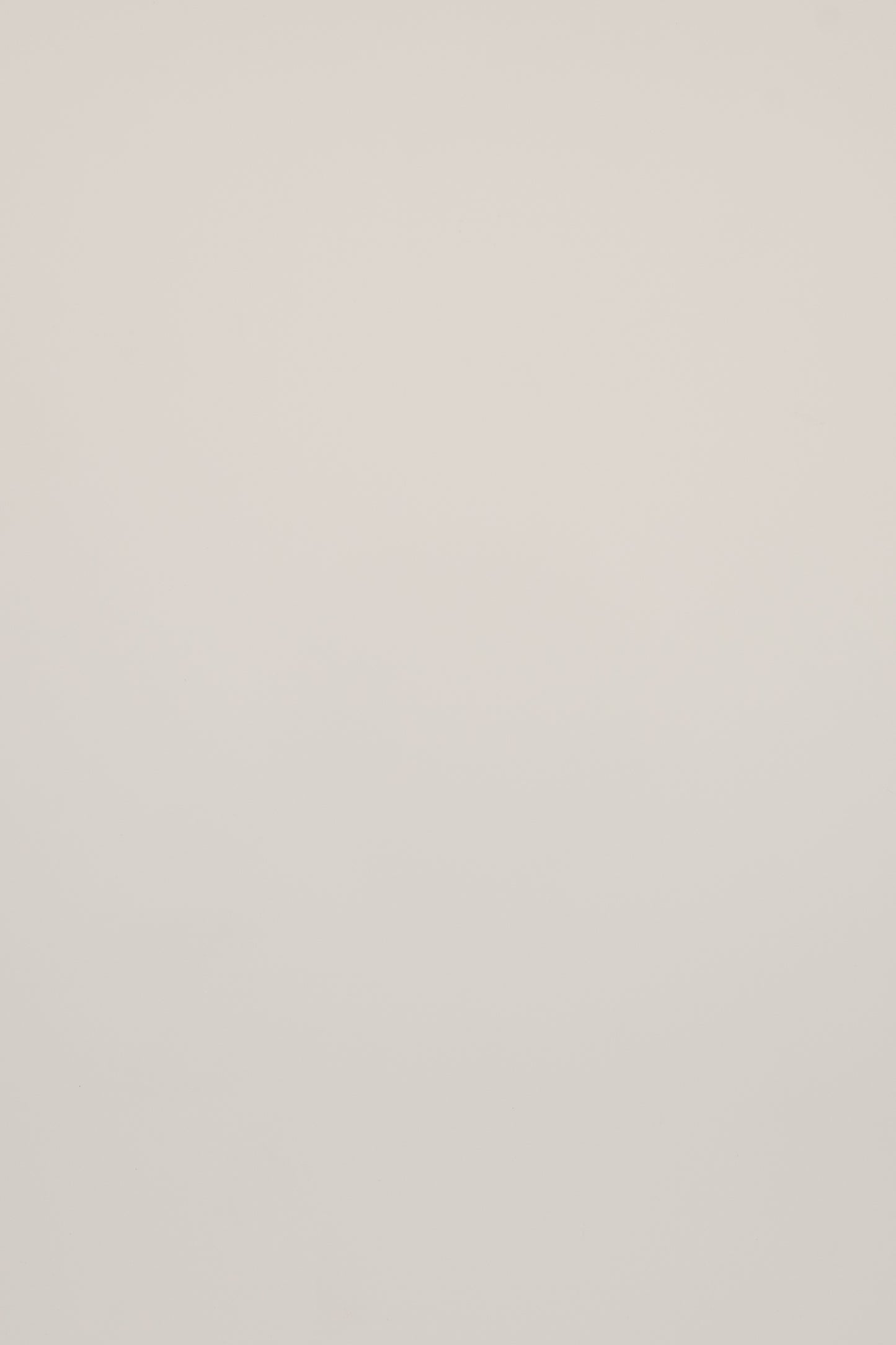 Best Value Premium Wood Panel | Affordable Luxury Finish-海智集-