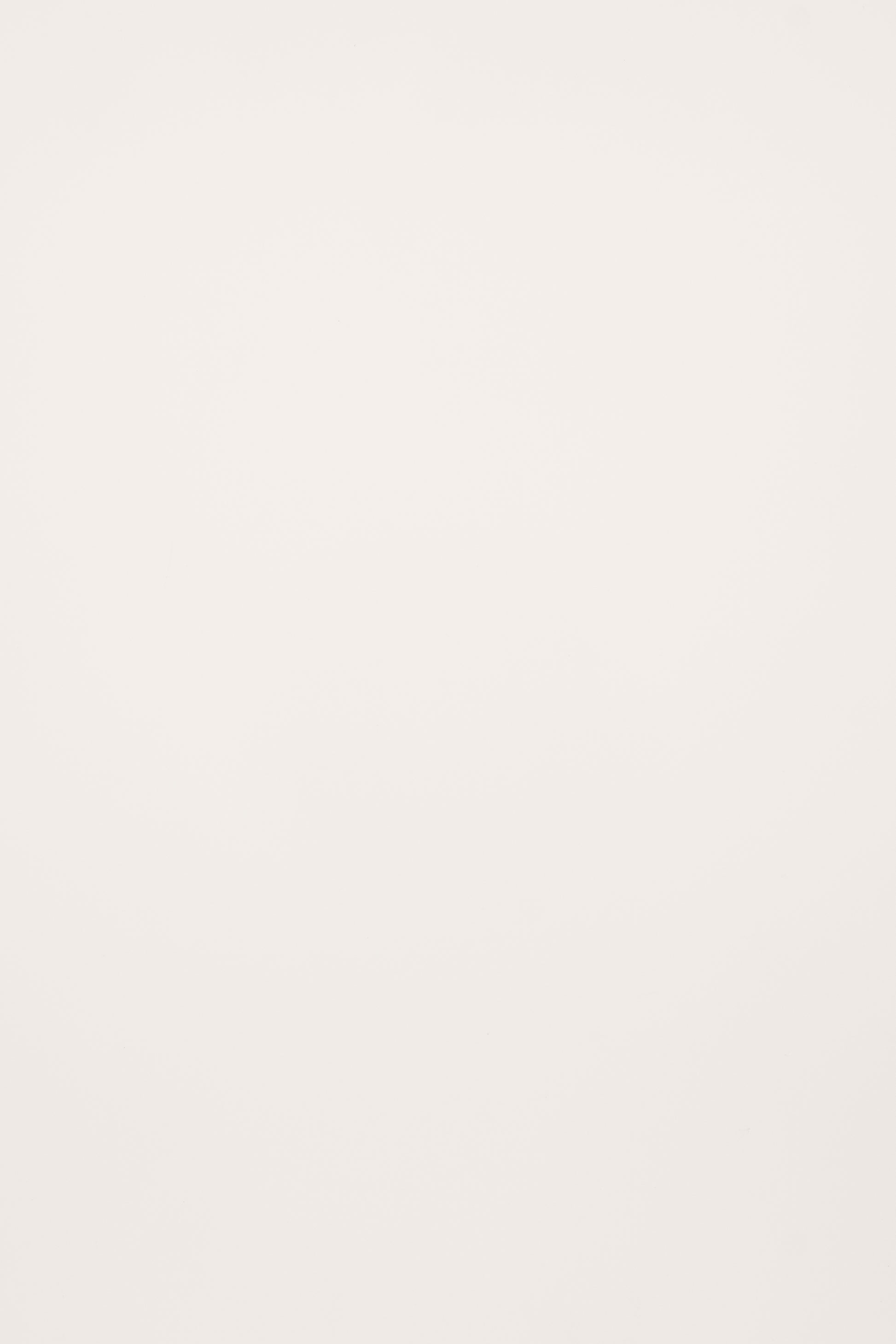 10-Year Warranty Wood Wall Panel | Long-Lasting Quality-海智集-